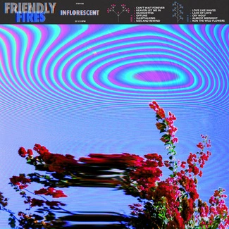 FRIENDLY FIRES Inflorescent CD