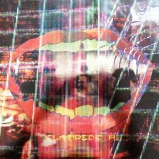 ANIMAL COLLECTIVE Centipede Hz CD