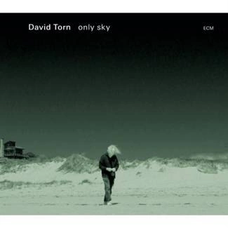 TORN, DAVID Only Sky CD