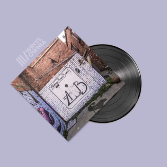 AVERAGE RAP BAND Stream Of Nonsenseness LP