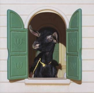 SUPERCHUNK Wild Loneliness CD