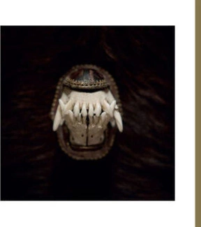 AMENRA De Toorn CD