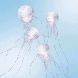 SCANDAL Luminous CD
