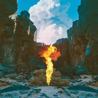BONOBO Migration CD