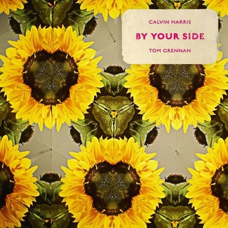 CALVIN HARRIS FEAT. TOM GRENNAN By Your Side LP