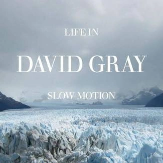 GRAY, DAVID Life In Slow Motion CD