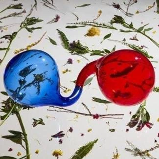DIRTY PROJECTORS Lamp Lit Prose CD