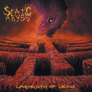 STATIC ABYSS Labyrinth Of Veins CD