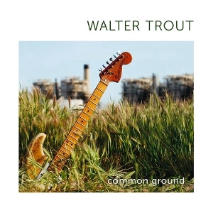 TROUT, WALTER Common Ground 2 LP