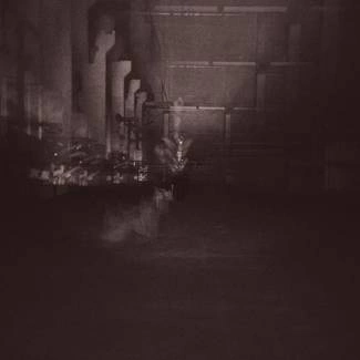 DUB TAYLOR Caves & Cages 2LP