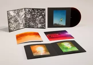 YEAH YEAH YEAHS Cool It Down LP