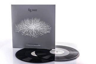 PRZEMYSŁAW STRĄCZEK Fig Tree LP