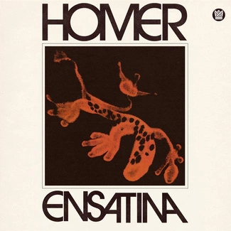 HOMER Ensatina CD