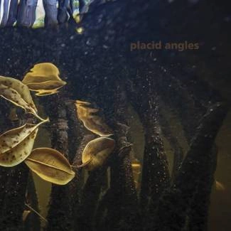 PLACID ANGLES Touch The Earth 3LP