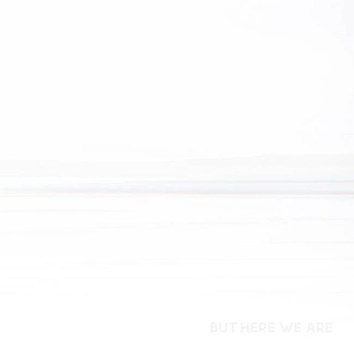 FOO FIGHTERS But Here We Are CD