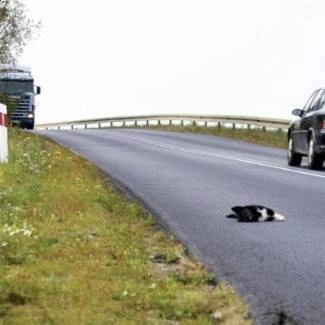 BARTNIK, PAWEŁ Paweł Bartnik CD