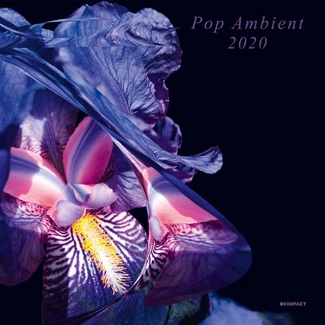 V/A Pop Ambient 2020 CD