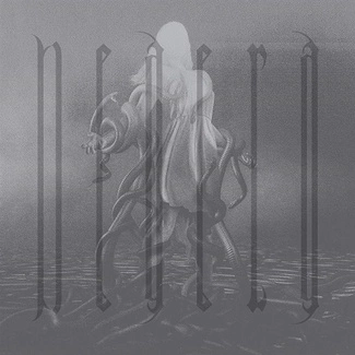 NEAERA Neaera Black LP