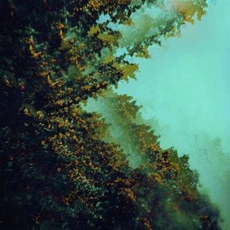 POLYMOON Caterpillars Of Creation CD