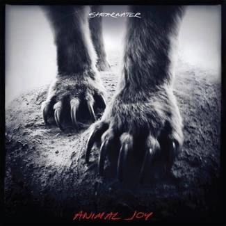 SHEARWATER Animal Joy CD DIGIPAK