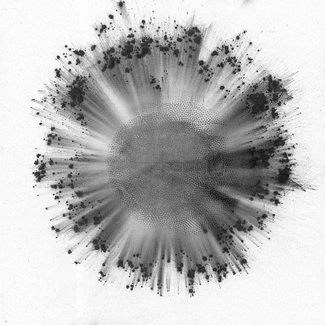 TRENTEMØLLER Obverse CD