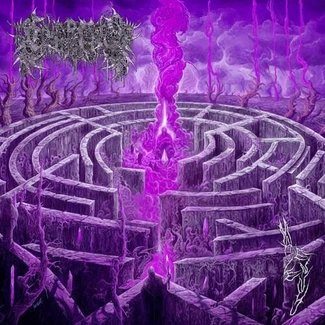 CIVEROUS Maze Envy CD