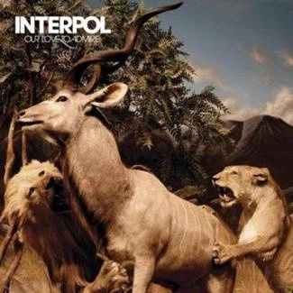 INTERPOL Our Love To Admire CD