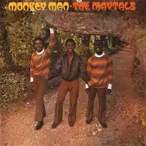 MAYTALS Monkey Man LP
