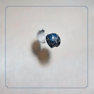 SPECIMENS In The Dust Of Idols LP