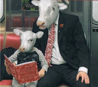 MOBY Everything Was Beautiful And Nothing Hurt CD