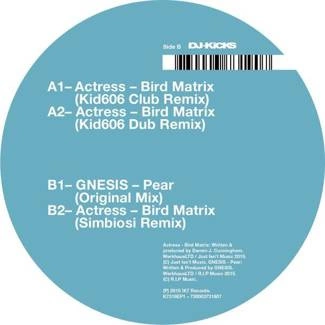 ACTRESS Bird Matrix (Remixes) 12"