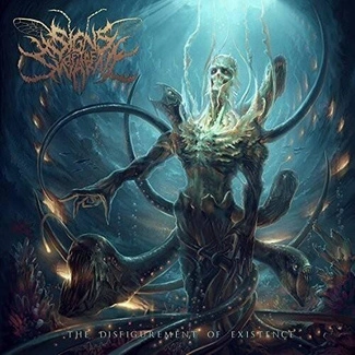 SIGNS OF THE SWARM The Disfigurement of Existence LP