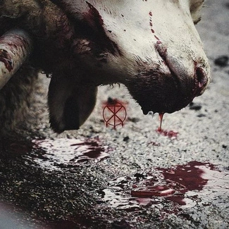 TO THE GRAVE Director's Cuts CD