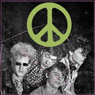 FLAMING LIPS, THE Scratching The Door: The First Recordings Of The Flaming Lips CD