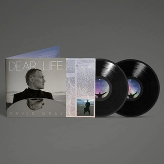 GRAY, DAVID Dear Life BLACK 2LP