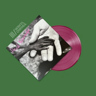 DEAD KENNEDYS Plastic Surgery Disasters LP