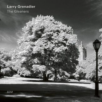 LARRY GRENADIER The Gleaners LP