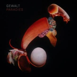 GEWALT Paradies LP
