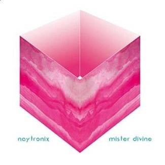NAYTRONIX Mister Divine CD