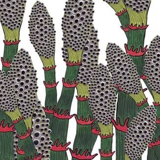 PART CHIMP IV CD DIGIPAK