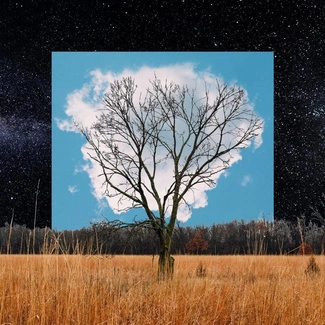 FINK Bloom Innocent CD