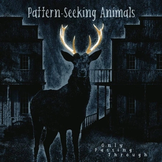 PATTERN-SEEKING ANIMALS Only Passing Through CD