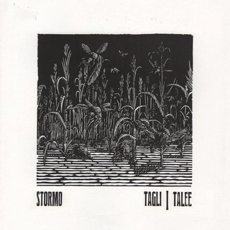 STORMO Tagli Talee CD