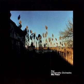 CINEMATIC ORCHESTRA Ma Fleur (tour Edition 2015) CD