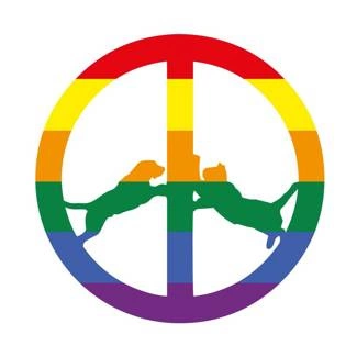 HYPE WILLIAMS Rainbow Edition CD