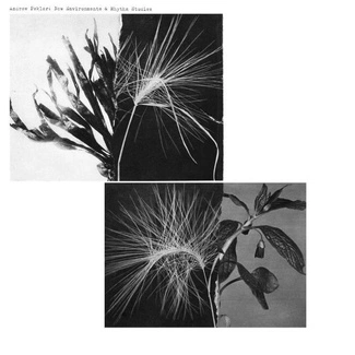 ANDREW PEKLER New Environments & Rhythm Studies LP
