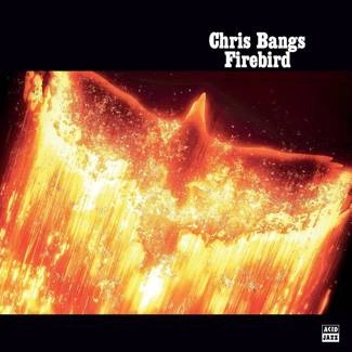 CHRIS BANGS Firebird LP