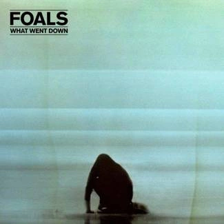 FOALS What Went Down (cd+dvd) 2CD