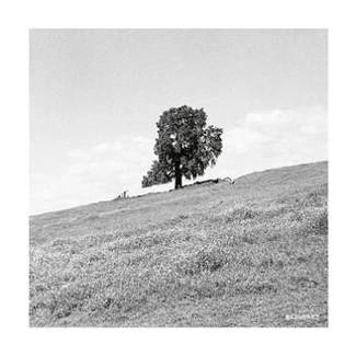 BLANK GLOSS Cornered CD