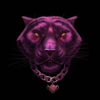 SZPAKU RÓŻowa Pantera CD